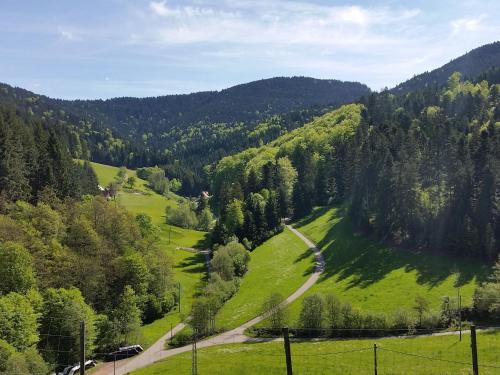Zuwälder Stüble in Oberharmersbach, Deutschland
