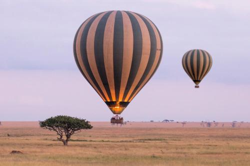 Meliá Serengeti Lodge member of Meliá Collection