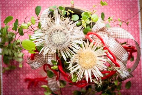 Steigmühle Pension Garni