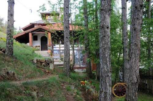 Apartments Carevo Polje - image 5