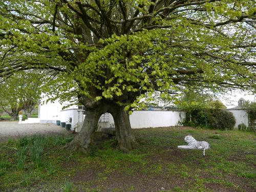 The Carriage Houses at Beechpark House - image 11