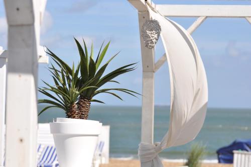 B&B Aquavit - image 9
