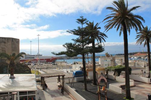 Alameda - image 6