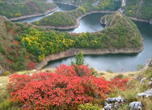 B&B Hisar International - image 4