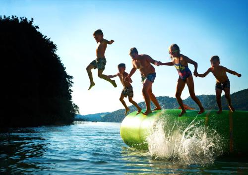 Apart-Pension Wesenauerhof - image 11