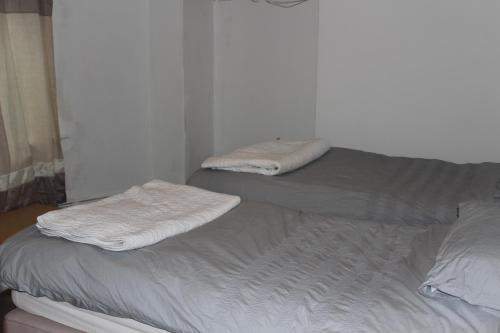 The Brighton apartment