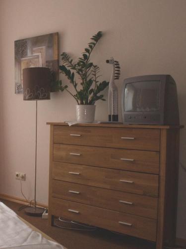 Hotel Cafe Bothe - main image