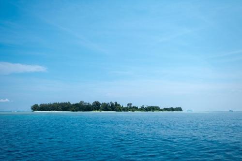 The Bodhi Tree Karimunjawa