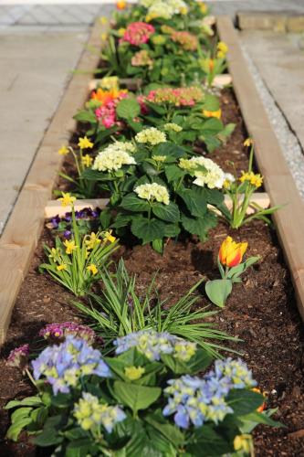 The Little Guesthouse - image 7