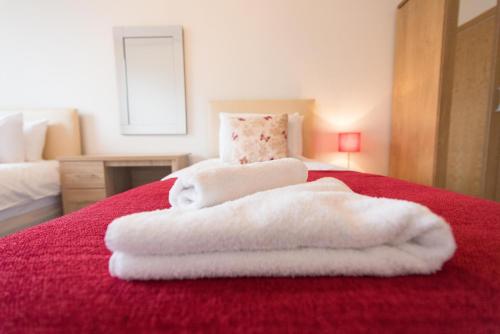 Hamilton Grace 2 Bed 1 Bath Plenty of Parking SN5 - image 3