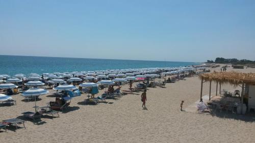 Attico al mare - image 7