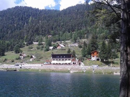 Grand Chalet Du Lac Du Boreon in Saint-Martin Vesubie