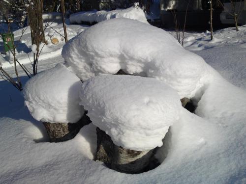Vandrarhem Tre Knektar Köping - image 14