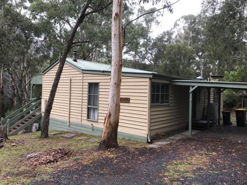 Day Dream Cottage