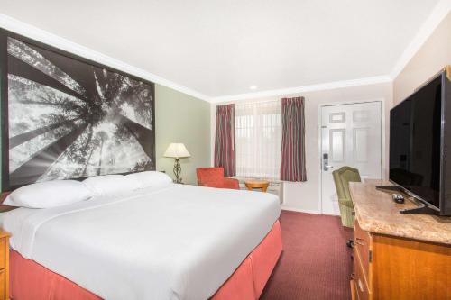 1 king bed