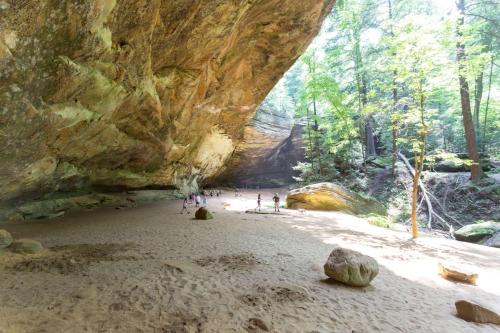 Surrounding environment, Super 8 By Wyndham Athens in Athens (OH)