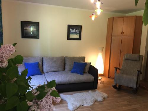 Forest house with outdoor hot tub, Jūrmala (foto 7)