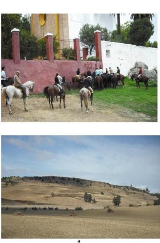 Cortijo Santa Clara - Photo 3