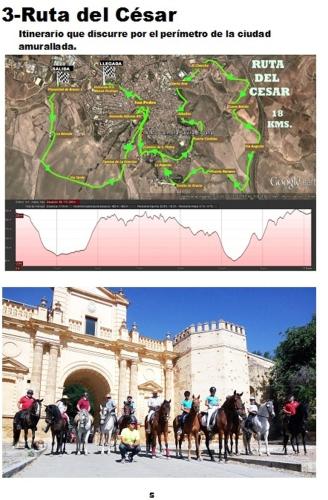 Cortijo Santa Clara - Photo 5