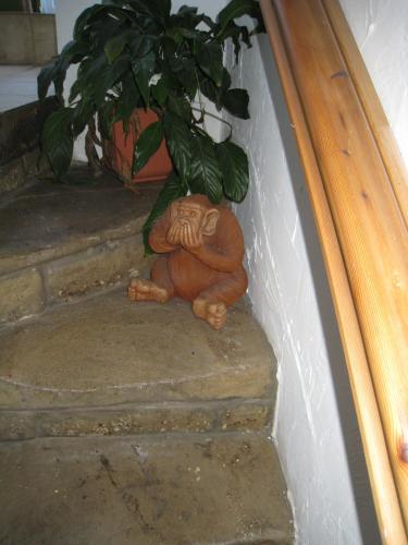 Rosebud Cottage Guest House - image 10