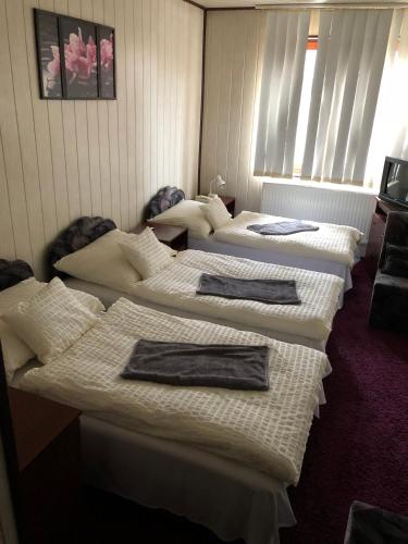 3 twin beds