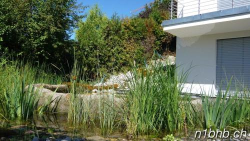 N1 Standalone House Baden in Nussbaumen, Schweiz