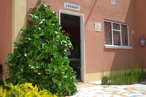 Business center, Seelo Guest Accommodation in Letlhakane