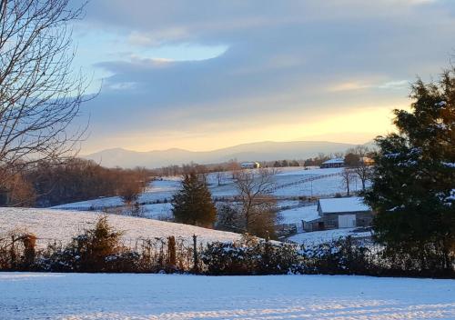 Piney Hill B & B and Cottages Piney Hill B & B and Cottages