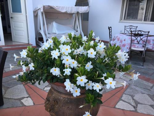 B&B Il Grappolo