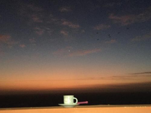 Il Paradiso Esiste Il Paradiso Esiste