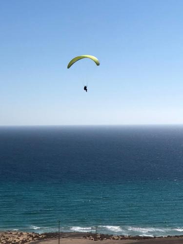 Il Paradiso Esiste Il Paradiso Esiste