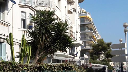 Seaflat in Nice