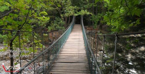 Yalova Lova Hotel & SPA Yalova - image 12