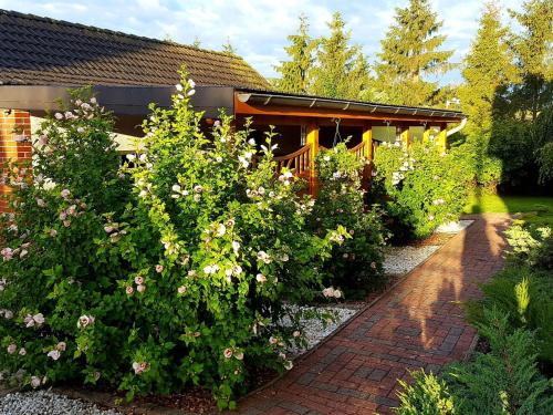 Cozy Apartment in Satow Kuhlungsborn and Doberan with garden
