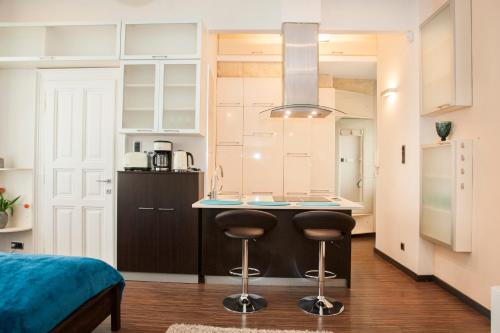Viktoria Central Apartment, Budapest (photo 9)