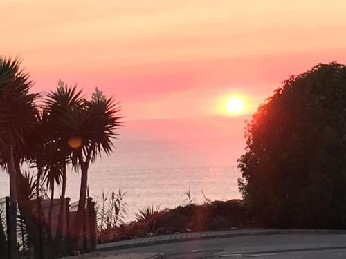  Ericeira Surf Studio in Ericeira