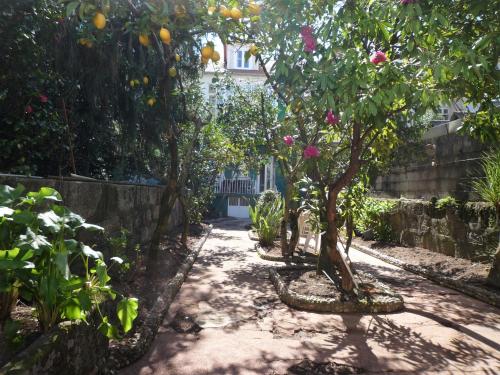 Casa Familiar do Porto - Lamego