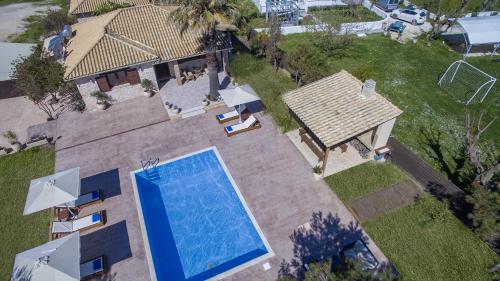 Iguana Villa - image 5