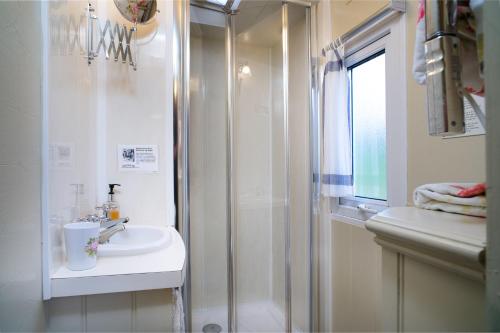 The Glamavan - image 7