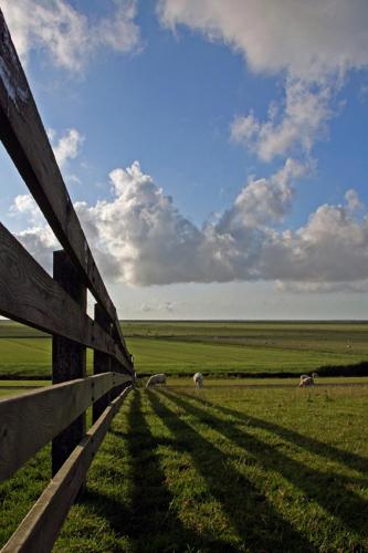 "Wattengebiet Entdeckungsreise" "Wattengebiet Entdeckungsreise"