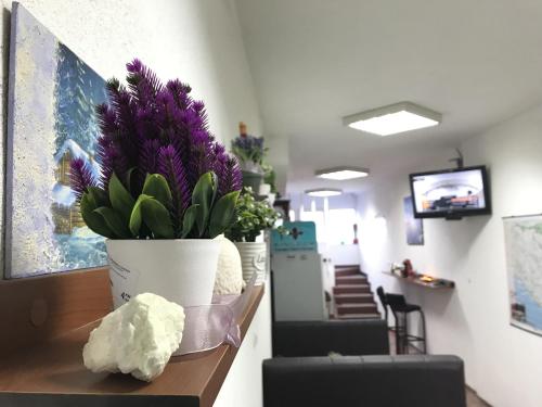 Спільний лаунж/ТБ зона, Kingdom Rooms Visoko in Вісоко