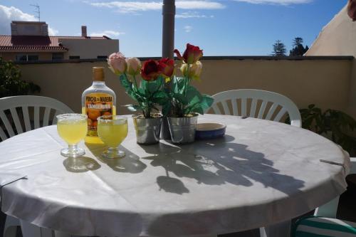 Casa Violeta 4