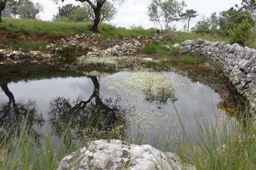 Quinta de São João