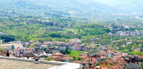 Sawsana Villalari - image 9