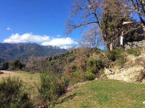Le Paradis photo 16