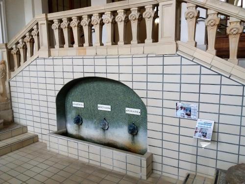 Aktivitātes, Les Buissonnets in Moulins-Engilbert