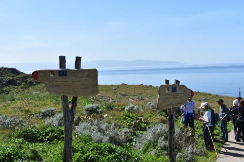 B&B Upper - image 3