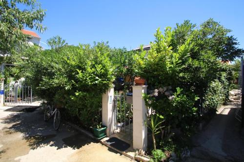 Seaside holiday house Sucuraj Hvar - 15141 - image 6