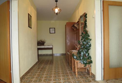  Apartmani Ivo in Petrčane