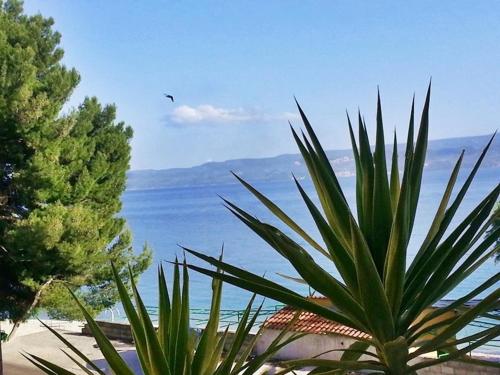Apartments by the sea Krilo Jesenice, Omis - 15145